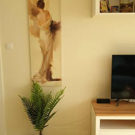 Sunny And Charming Domain For Your In Appartement *
