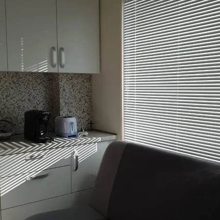 Sunny And Charming Domain For Your In Sofia